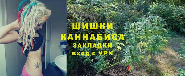 индика Данков