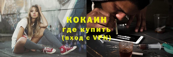 твердый Осинники