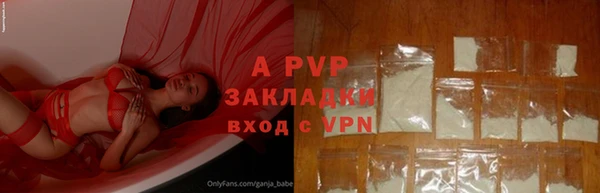 твердый Осинники