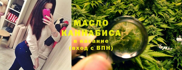 индика Данков