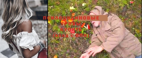 твердый Осинники