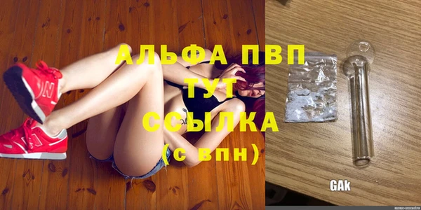 твердый Осинники