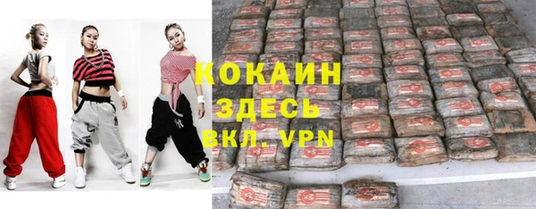 твердый Осинники