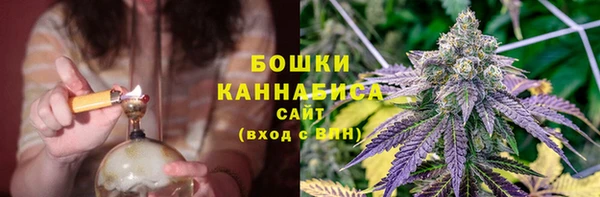 твердый Осинники
