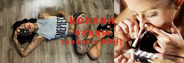 индика Данков