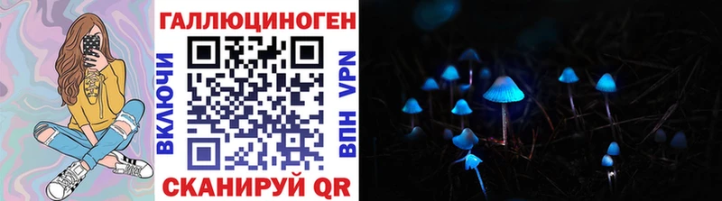 Купить закладки  Инсар  Галлюциногенные грибы MAGIC MUSHROOMS 